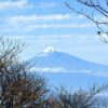 天城山＆伊豆山稜線(達磨山～金冠山) - 画像 (2)